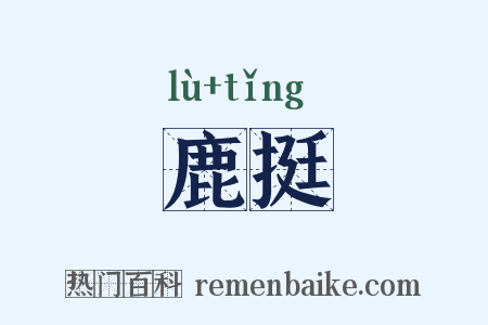 鹿挺是什么意思的图片